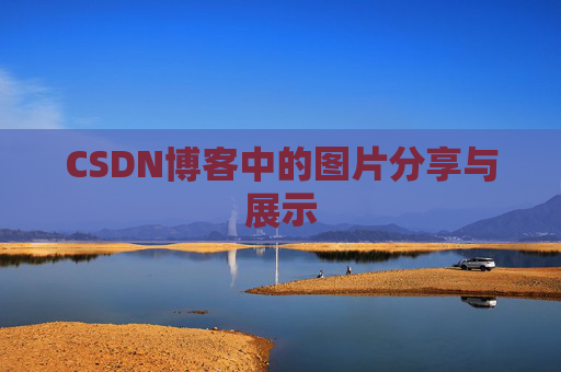 CSDN博客中的图片分享与展示